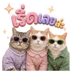 lovely cats are here