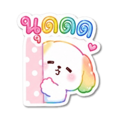 Rainbow Puppy