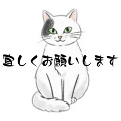 NON._20260517161632