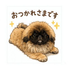 akari_20260517161035