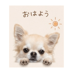 Uly_20260517192043