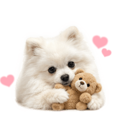 rena_20260517192334