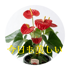 Mizuma_20260517193807