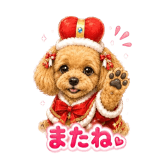 FUWARISTANP_20260517193945