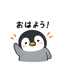 PONZU_20260517194712