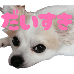 hina_20260517195139
