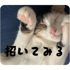 azamaaaaaaaa_20260517210759