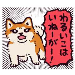 秋田犬です。