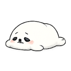 Wani chan_20260517201253