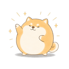 Round Shiba dog