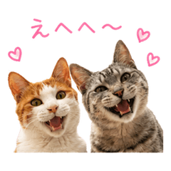 Using cats to express emotions Part 3