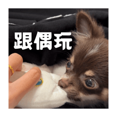 吳小屁啦