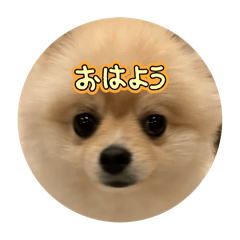 mugi_20260507205003