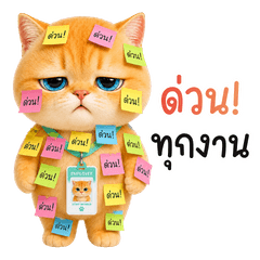 เหมียวส้ม : ขี้เกียจทำงานอ่า..า