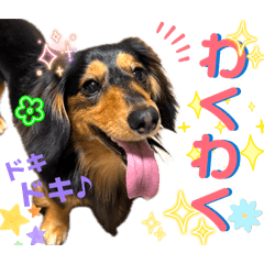 Pine_dachshund vol.2