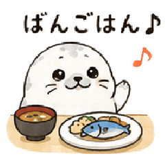 A Day in the Life of a Cute Seal.