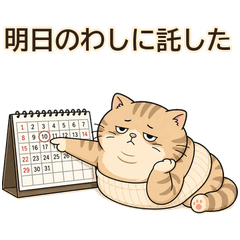 Daragoro the Procrastinating Cat