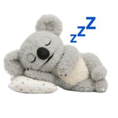 Fluffy koala plushie