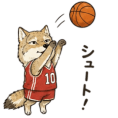 chibesunabasket