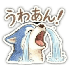 Luz_Love Husky !!_2