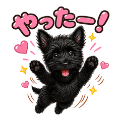 Satomi Scottie