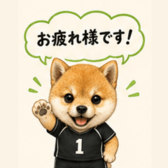 Cute Shiba Inu 03