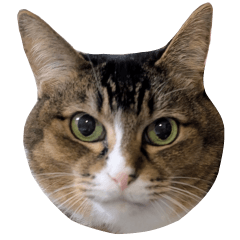 Pakuchii Sticker