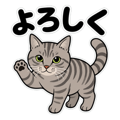 Nyanta1st