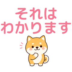 Gentle Shiba Empathy Reactions