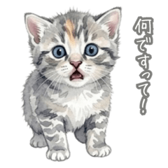 Days of a Kitten 1