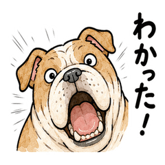 Read Receipt Bulldog