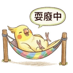 一生實用日常！玄鳳鸚鵡萬用貼圖
