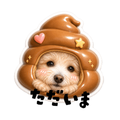 mopooh_20260506152649