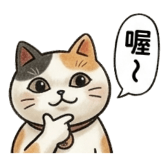 一生實用好運!日本招財三花貓