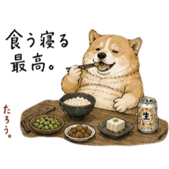 yu_20260508015129