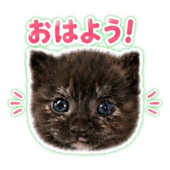 ma-chan_20260508033428