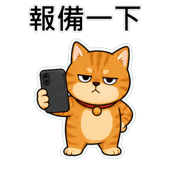 橘貓 真心話不裝了1