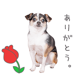 Stamp No:9105