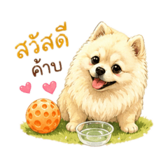 Koii koii_20260428182655