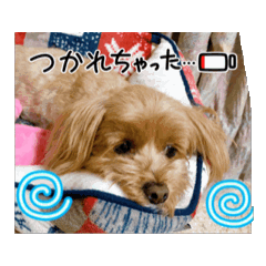 ghc_20260522214130
