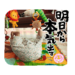 Fujihara Family