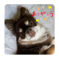 makuren_20260517204052