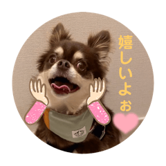 makuren_20260517204121