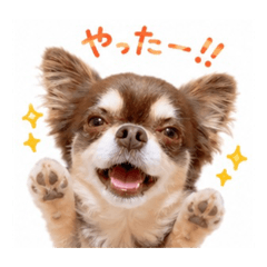 makuren_20260517204156