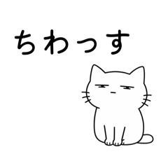 hello empty cat