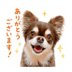 makuren_20260517204233