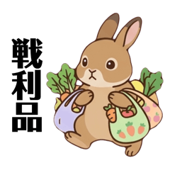 momo_20260517221648