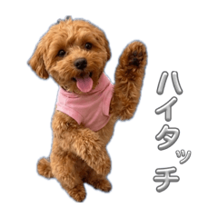 ray_20260517222305