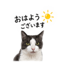 MIKI_20260517212445