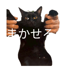 k_20260517213451